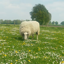 Hof Landleben