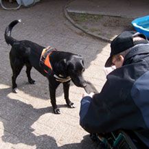 Hundeschule